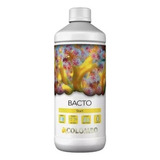 Bacto Start 500ml Colombo Bactéria Para Aquário Marinho