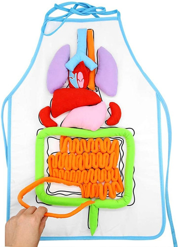 Delantal Órganos Del Cuerpo Humano D Diy Modelo Anató...