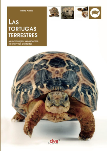 Libro: Las Tortugas Terrestres (spanish Edition)