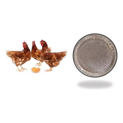 Pigmento Para Alimento Gallina Ponedora 5kg | Envío gratis