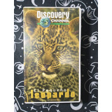 El Pequeño Leopardo (the Leopardo Son) - Vhs - Discovery