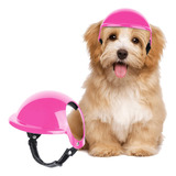 Casco Para Perro Pequeño, Casco De Bicicleta Para Perro Con