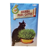 Semillas De Hierba Gatera X50grs