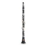 Clarinete Roy Benson Cb317