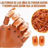 Mano Articulada Por Práctica De Uñas/ Manicurista