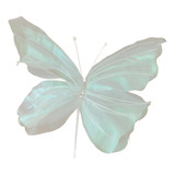 Decoración De Mariposas, Utilería De Blanco Colorido