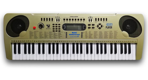 Piano Organeta Eléctrica Usb Mp3 61 Teclas Musical Aprendiz 