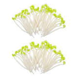 Brotes De Soja Artificiales De Frutas Y Verduras, 50 Unidade