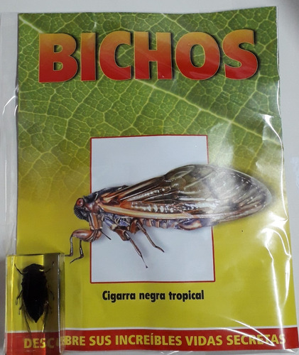 Bichos Cigarra Negra Tropical + Fasciculo  - Rba