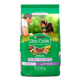 Alimento Dog Chow Salud Visible Cachorro De Raza Mini Y Pequeña Sabor Mix En Bolsa De 2 kg