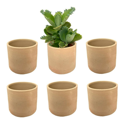 Macetas Barro Cilindro Mediano Suculentas Cactus Decora 6pz