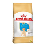 Ração Royal Canin Labrador Retriever Cães Filhote 12 Kg Pett