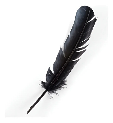 Plumas De Pavo De Color Para Manualidades  Paq. 10 Gr | Meses sin interés