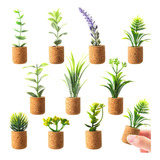 Justdolife Imanes De Plantas Para Nevera, Mini Imanes De Suc