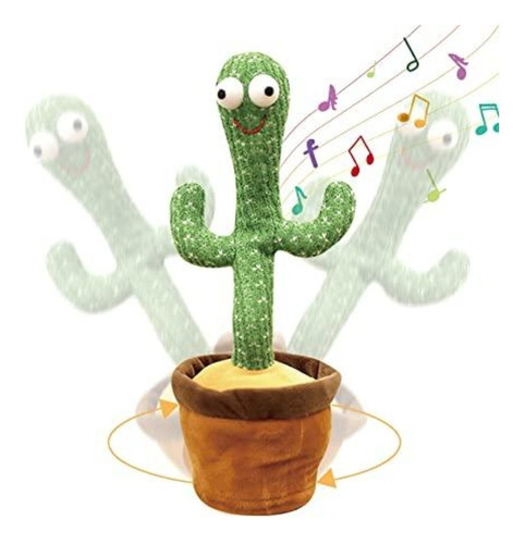 Cactus Bailarín Adecuado Niños
