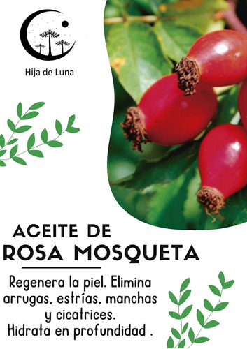 Aceite Para Estrías De Rosa Mosqueta Puro Y Orgánico 50ml