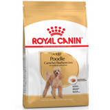Royal Canin Poodle Caniche 3 Kg / Catdogshop