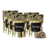 X5 Artemia Liofilizada 7g/120ml