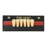 Dente 2n Inferior Na 66 - Pop Dent