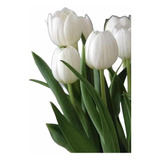 Set X 6 Tulipanes Artificiales De Aspecto Natural