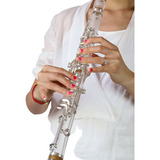 Clarinete/clarineta Crystal Transparente Sib 17 Chaves Prata