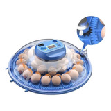 8 Incubadora De Huevos De Escotilla Giratoria Completamente