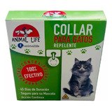  Collar Antipulgas Garrapatas Repelente Gatos 