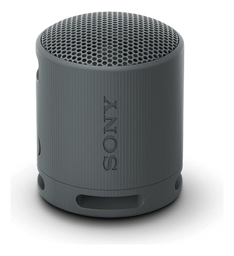 Bocina Sony Srs-xb100 Portatil Bluetooth Ip67 Impermeable