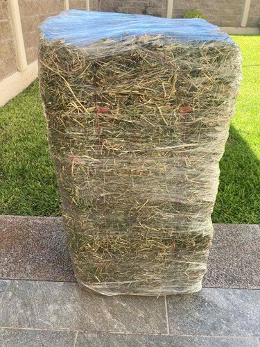 Pacas Alfalfa 28-30kg