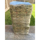 Pacas Alfalfa 28-30kg