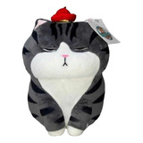 Peluche Gato+ Obsequio Regalos Detalle Niños Antialergico 