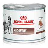 Royal Canin Lata Recovery