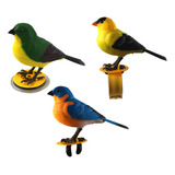 Controle De Voz Simulado De 3 Peças Musical Bird Sing Electr