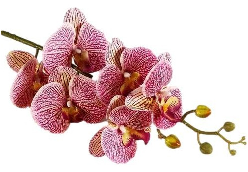 Orquideas Artificiales Para Decoracion Flores Calidad 90 Cm