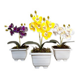 3 Vasos Cachepot Mini Orquideas Flor Decoração Casa 
