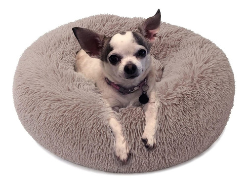 Cama Para Perros Pequeños, Medianos Y Grandes, Extragrandes,