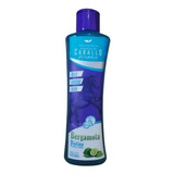 Shampoo Shanaturals De Caballo De 500ml Por 1 Unidad