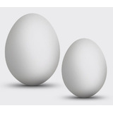 Huevos Leghorn Fértiles 