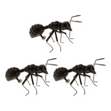 Simulación Hormigas Juguetes Especial Realista Modelo