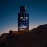 Sauvage Dior Masculino Eau De Parfum 200ml