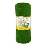 Fancy Pets Repuesto Doggie Grass Tamaño Extra Chico De