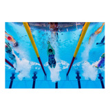 Vinilo 30x45cm Natacion Deporte Acuatico Pileta Piscina M1