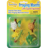 Mantis Religiosa 4 Piezas Ciclo De Vida Figuras - 2 Bug