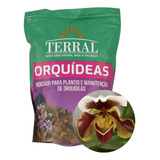 Substrato Pronto Orquideas Sapatinho Completo Premium Oferta