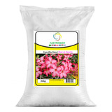 Terra Preparada Especifica Para Rosa Do Deserto 01kg