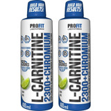 2x Termogênico L-carnitina Com Cromo Líquida 480ml - Profit