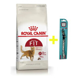 Alimento Gato Royal Canin Fit 1,5 Kg + Collar Semielástico