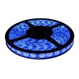 Tira Led 4040 12v 5 Metros Luz Fria Calida Colores Interior