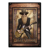 #352 - Cuadro Vintage 30 X 40 - No Chapa Zz Top Guitarra 