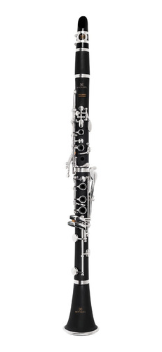 Clarinete Sib Michael Wclm40n Fosco Chaves Prateadas